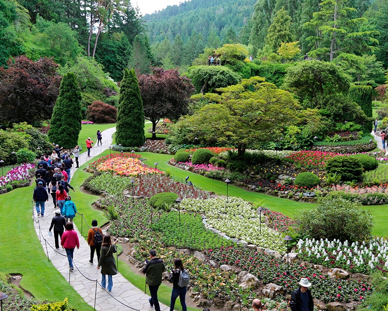 Butchart Gardens