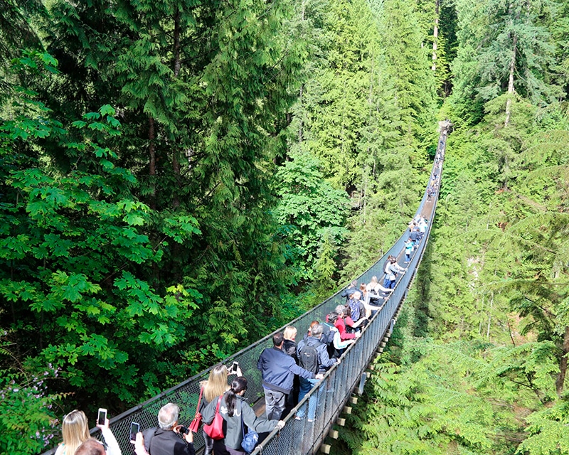 Capilano Suspension Bridge