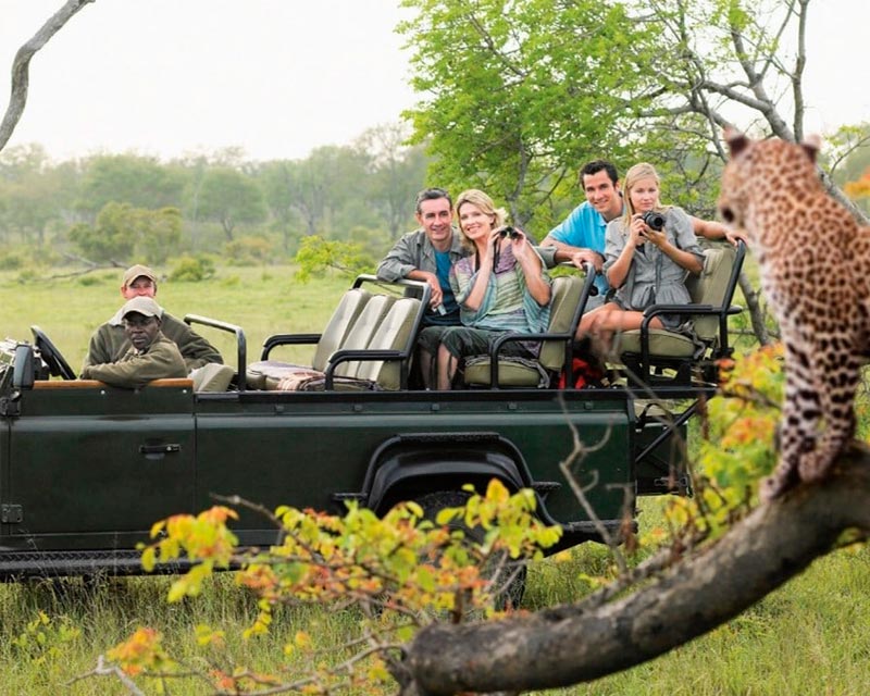 Safari na África do Sul